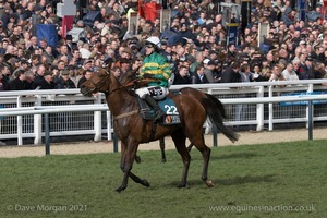 The Cheltenham Festival 2008, Champion Hurdle Day - 11th March