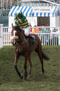 The Cheltenham Festival 2008, Champion Hurdle Day - 11th March