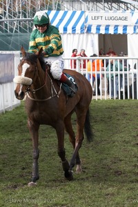 The Cheltenham Festival 2008, Champion Hurdle Day - 11th March