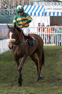 The Cheltenham Festival 2008, Champion Hurdle Day - 11th March