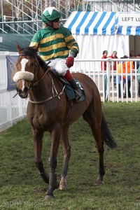 The Cheltenham Festival 2008, Champion Hurdle Day - 11th March