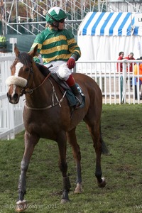 The Cheltenham Festival 2008, Champion Hurdle Day - 11th March