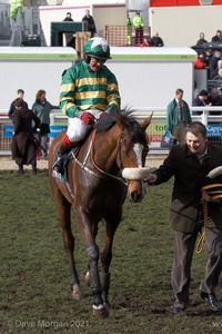 The Cheltenham Festival 2008, Champion Hurdle Day - 11th March