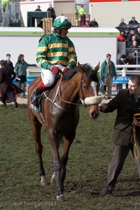 The Cheltenham Festival 2008, Champion Hurdle Day - 11th March