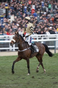 The Cheltenham Festival 2008, Champion Hurdle Day - 11th March