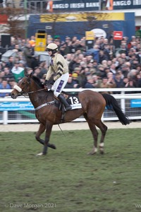 The Cheltenham Festival 2008, Champion Hurdle Day - 11th March