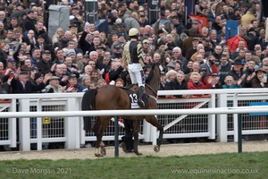 The Cheltenham Festival 2008, Champion Hurdle Day - 11th March