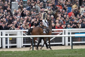 The Cheltenham Festival 2008, Champion Hurdle Day - 11th March