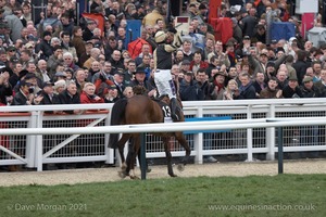 The Cheltenham Festival 2008, Champion Hurdle Day - 11th March