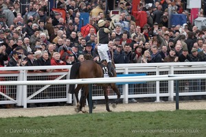 The Cheltenham Festival 2008, Champion Hurdle Day - 11th March