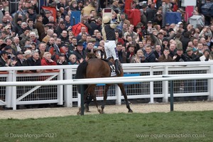 The Cheltenham Festival 2008, Champion Hurdle Day - 11th March