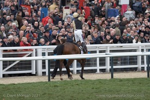 The Cheltenham Festival 2008, Champion Hurdle Day - 11th March