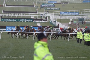 The Cheltenham Festival 2008, Champion Hurdle Day - 11th March