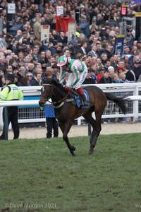 The Cheltenham Festival 2008, Champion Hurdle Day - 11th March