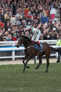 The Cheltenham Festival 2008, Champion Hurdle Day - 11th March