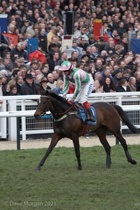 The Cheltenham Festival 2008, Champion Hurdle Day - 11th March