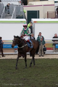 The Cheltenham Festival 2008, Champion Hurdle Day - 11th March