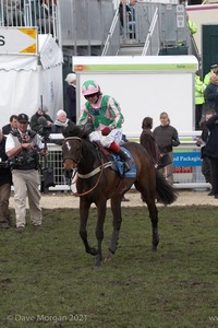 The Cheltenham Festival 2008, Champion Hurdle Day - 11th March