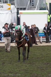 The Cheltenham Festival 2008, Champion Hurdle Day - 11th March