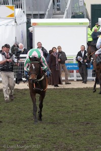 The Cheltenham Festival 2008, Champion Hurdle Day - 11th March