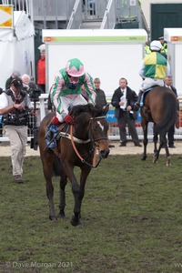 The Cheltenham Festival 2008, Champion Hurdle Day - 11th March