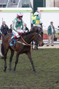 The Cheltenham Festival 2008, Champion Hurdle Day - 11th March