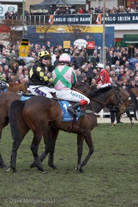 The Cheltenham Festival 2008, Champion Hurdle Day - 11th March