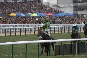 The Cheltenham Festival 2008, Champion Hurdle Day - 11th March