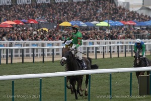 The Cheltenham Festival 2008, Champion Hurdle Day - 11th March