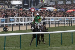 The Cheltenham Festival 2008, Champion Hurdle Day - 11th March