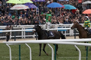 The Cheltenham Festival 2008, Champion Hurdle Day - 11th March