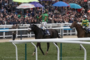 The Cheltenham Festival 2008, Champion Hurdle Day - 11th March