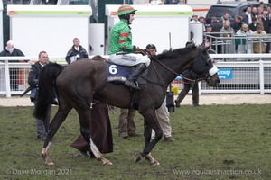 The Cheltenham Festival 2008, Champion Hurdle Day - 11th March