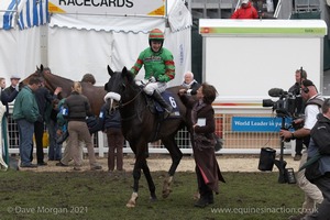 The Cheltenham Festival 2008, Champion Hurdle Day - 11th March