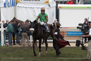 The Cheltenham Festival 2008, Champion Hurdle Day - 11th March