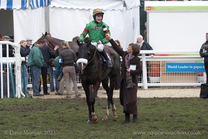 The Cheltenham Festival 2008, Champion Hurdle Day - 11th March