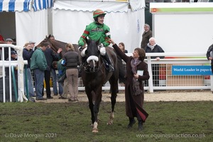 The Cheltenham Festival 2008, Champion Hurdle Day - 11th March