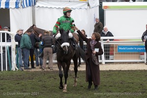 The Cheltenham Festival 2008, Champion Hurdle Day - 11th March