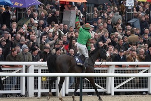 The Cheltenham Festival 2008, Champion Hurdle Day - 11th March