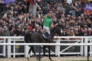 The Cheltenham Festival 2008, Champion Hurdle Day - 11th March