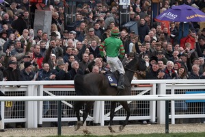 The Cheltenham Festival 2008, Champion Hurdle Day - 11th March