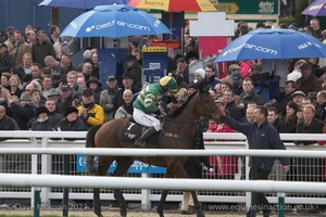 The Cheltenham Festival 2008, Champion Hurdle Day - 11th March