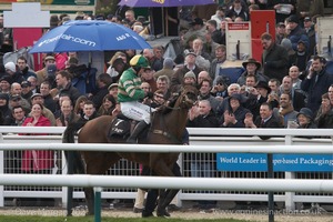 The Cheltenham Festival 2008, Champion Hurdle Day - 11th March