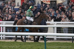 The Cheltenham Festival 2008, Champion Hurdle Day - 11th March