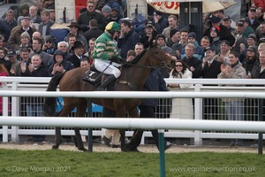 The Cheltenham Festival 2008, Champion Hurdle Day - 11th March