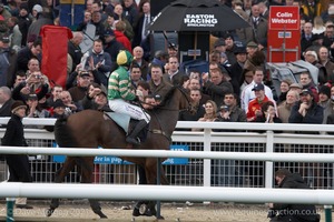 The Cheltenham Festival 2008, Champion Hurdle Day - 11th March