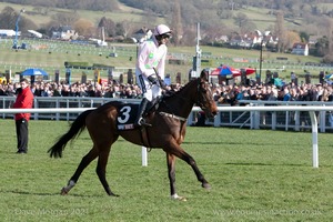 Douvan & Ruby Walsh win the Skybet Supreme Novices Hurdle for Willie Mullins.