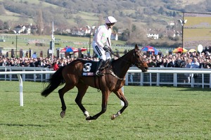 Douvan & Ruby Walsh win the Skybet Supreme Novices Hurdle for Willie Mullins.