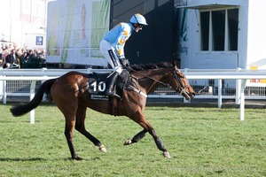 Un De Sceaux & Ruby Walsh win the Racing Post Arkle Chase for Willie Mullins.