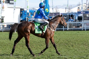 Hurricane Fly & Paul Townend after finishing 3rd in the Stan James Champion Hurdle for Willie Mullins.